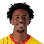M. Guilavogui