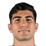 م. فيسيلجي