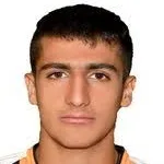 ميهدي تيكدارينيجاد