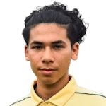 ب. دافيس