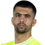 ن. لابروفيك