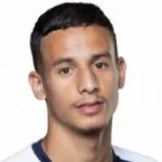ميهدي زيركاني