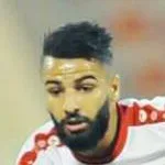 يوسف الهاماوي