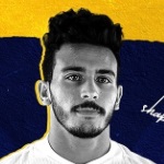 محمود شابراوي