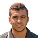 أحمد حسن