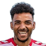 م. ديللينجير