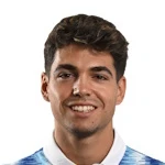 ديفيد فيرجيلي