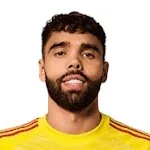 ديفيد رايا