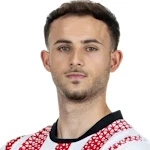 م. روسينفيلدير