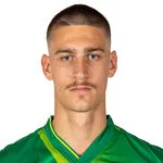 جيورجي جاجوا