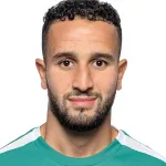 محمد اميني هاميك