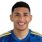 إ. فيرنانديز