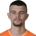 أ. تودوروفيك