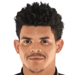 رينالدو ليانير