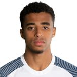 جوي رودويلل غرانت