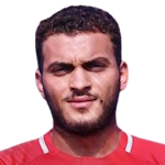 هشام هافيز