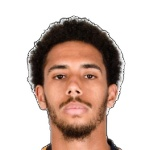 ليون نيلسون تشامبيرس باريللون