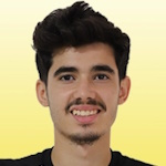 ي. فيللاهي
