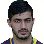 ريزا ديهغاني