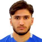 شاهين تاهيرخاني
