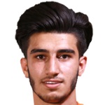 م. شاريفي