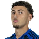 و. ميكيلبرينكيس