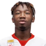 ن. دورجيليس