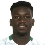 ال�ساني ديوب