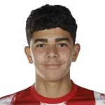سليم الجيباري الهاننوني