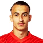 ارديت ديستاني