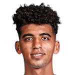 أحمد محمود