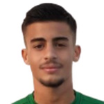 ر. ال�ميليتش