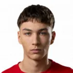 تاوتفيداس بوردزيلاوسكاس
