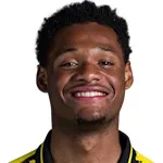 ج. دورانفيللي