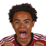 بيدرو بورجيس