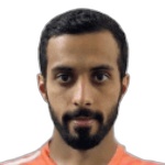 وبايد رايد