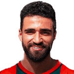 أحمد محمود الامور