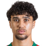 أيوب تشايخون