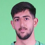 م. ساليهي