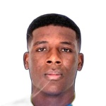 ر. نجيكي