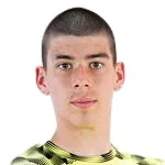 جورجي بينيتو دي فاللي مارتن