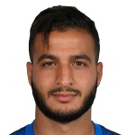 ن. امماري