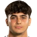 م. هيكيموجلو
