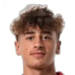 سامول غوميز فان هوجين