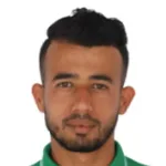 م. ميرواني