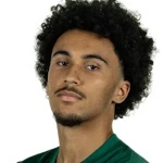 م. انجيلي