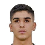 إ. فالاماشي