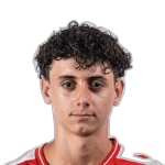 ساندرو فيديجال