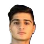 م. هاشيميناساب