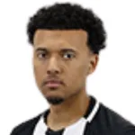 ن. هامالاينين